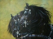 the Friesians